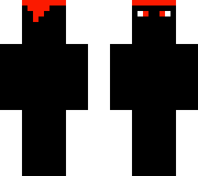 the red ninja