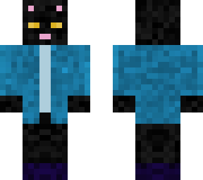 cat in clothes (witch/black cat)