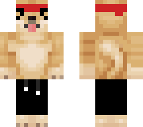 gangsta shiba
