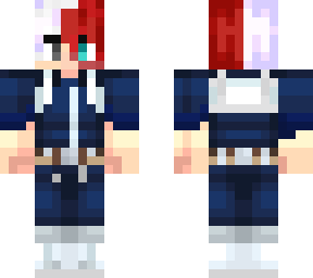 todoroki hero