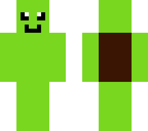 sea turtle