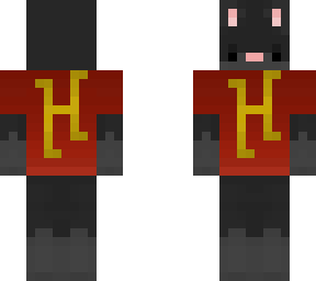 backwards black cat with hypixel tee