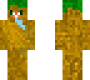dirt boy skin