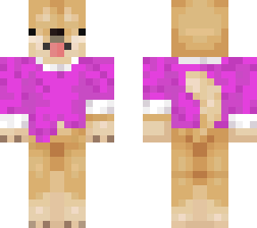 dogy dog