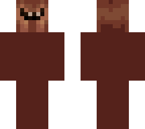 jumping spider head