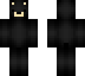 black bear