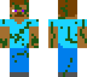 eco steve