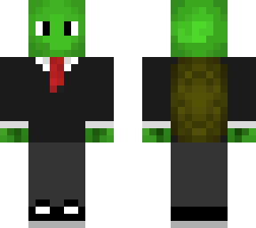 fancy turtle