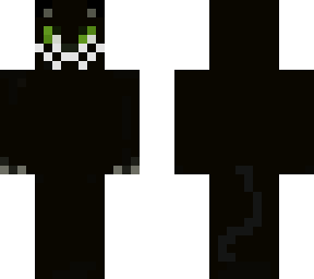midnight cat