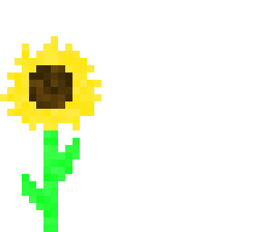 sunflower for ptmllrk16