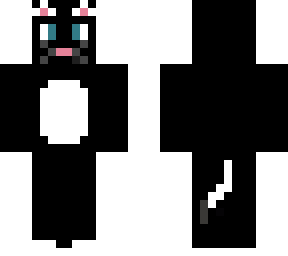 black cat