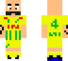 pallois nantes skin