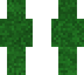 camouflage man