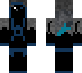 hidden  assassin