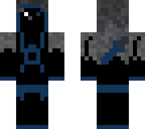 hidden  assassin