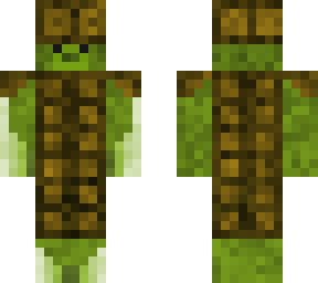 turtle