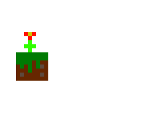 grass flower