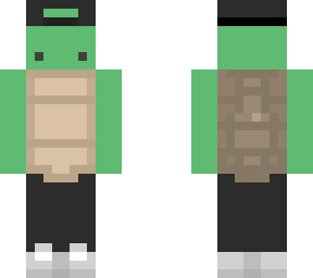 12345 turtle boi