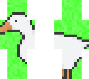 duck