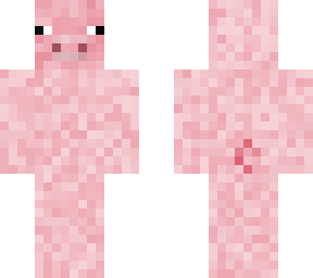 pig