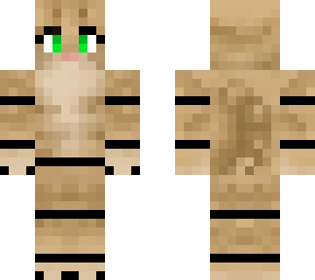 sandy the cat