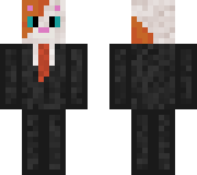 super sneaky spy cat