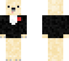 fancy puppy