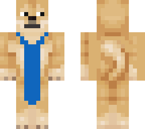 doge in leotard