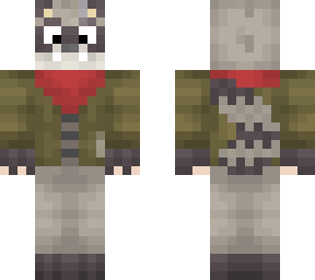 raccoon