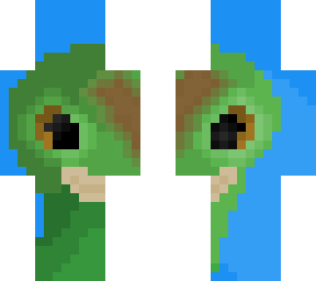 more lizardss
