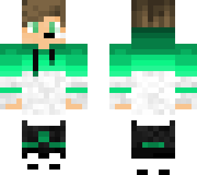 the gamer