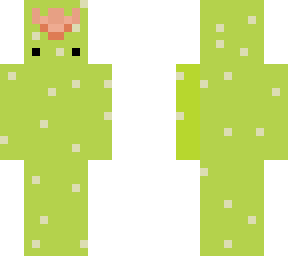 cactus kid