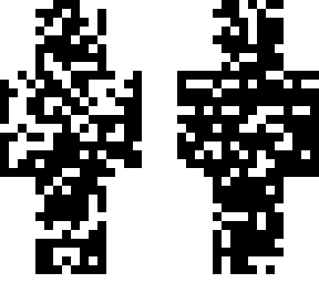 qr skin