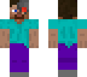 terminator steve