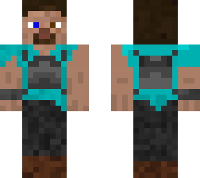 survivor steve - version 5