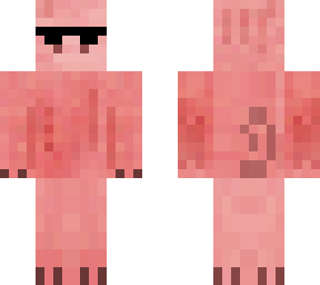 cool pig