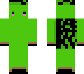 turtle man