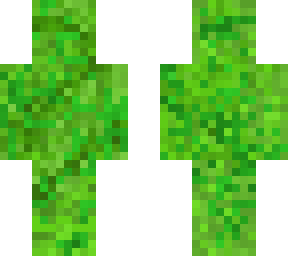 lettuce guy