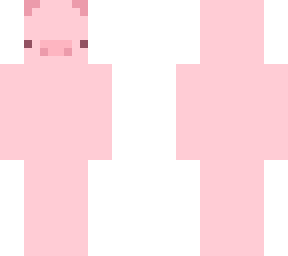 cute pig