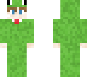 frogr