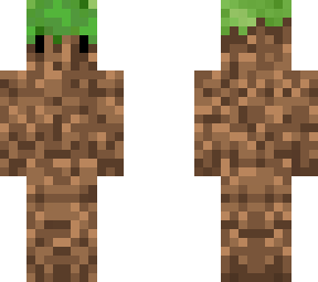 grass *****