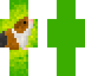 guinea pig without black dot on head