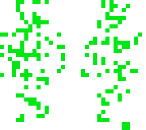 vine