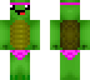 fishy turtle