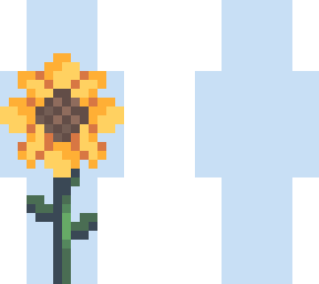 :*+sunflower+*:
