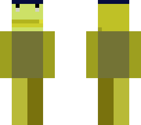 goose in helmet