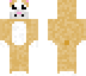 hamster contest!!!!!