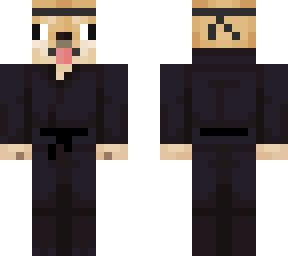 qdog ninja