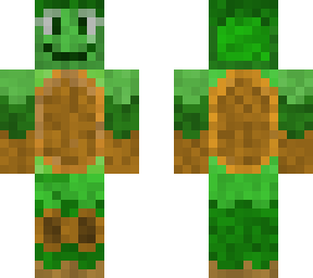 super duper cool turtlei