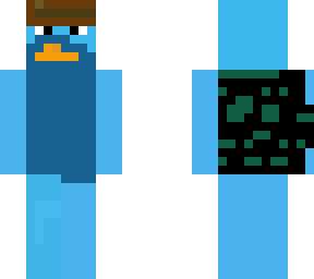 duck turtle